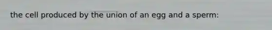 the cell produced by the union of an egg and a sperm: