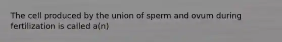 The cell produced by the union of sperm and ovum during fertilization is called a(n)