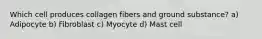 Which cell produces collagen fibers and ground substance? a) Adipocyte b) Fibroblast c) Myocyte d) Mast cell