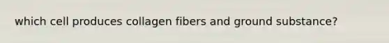 which cell produces collagen fibers and ground substance?