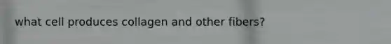 what cell produces collagen and other fibers?