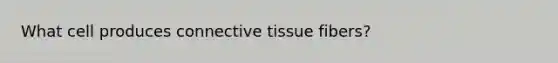 What cell produces connective tissue fibers?