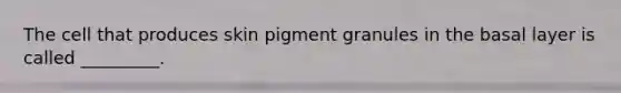 The cell that produces skin pigment granules in the basal layer is called _________.