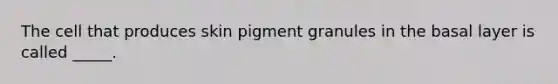 The cell that produces skin pigment granules in the basal layer is called _____.