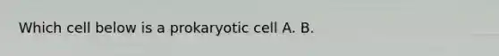 Which cell below is a prokaryotic cell A. B.