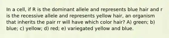 In a cell, if R is the dominant allele and represents blue hair and r is the recessive allele and represents yellow hair, an organism that inherits the pair rr will have which color hair? A) green; b) blue; c) yellow; d) red; e) variegated yellow and blue.