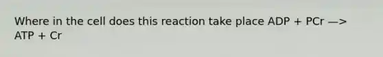 Where in the cell does this reaction take place ADP + PCr —> ATP + Cr
