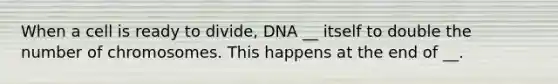 When a cell is ready to divide, DNA __ itself to double the number of chromosomes. This happens at the end of __.