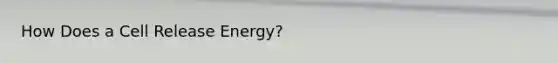 How Does a Cell Release Energy?