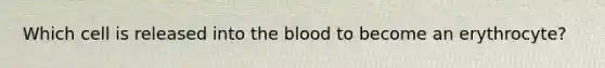 Which cell is released into the blood to become an erythrocyte?