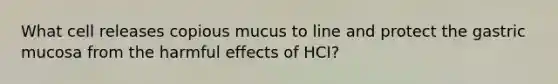 What cell releases copious mucus to line and protect the gastric mucosa from the harmful effects of HCI?