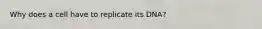 Why does a cell have to replicate its DNA?