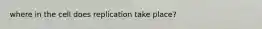 where in the cell does replication take place?