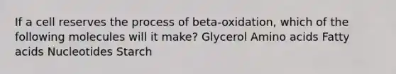 If a cell reserves the process of beta-oxidation, which of the following molecules will it make? Glycerol Amino acids Fatty acids Nucleotides Starch