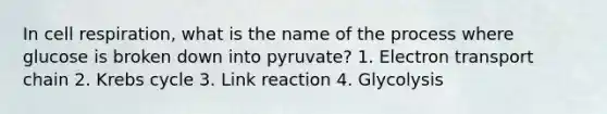 In cell respiration, what is the name of the process where glucose is broken down into pyruvate? 1. Electron transport chain 2. Krebs cycle 3. Link reaction 4. Glycolysis