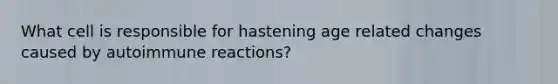 What cell is responsible for hastening age related changes caused by autoimmune reactions?