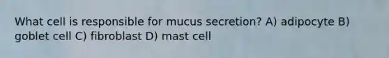 What cell is responsible for mucus secretion? A) adipocyte B) goblet cell C) fibroblast D) mast cell