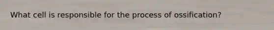 What cell is responsible for the process of ossification?