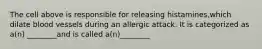 The cell above is responsible for releasing histamines,which dilate blood vessels during an allergic attack. It is categorized as a(n) ________and is called a(n)________