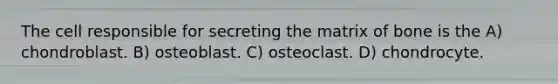 The cell responsible for secreting the matrix of bone is the A) chondroblast. B) osteoblast. C) osteoclast. D) chondrocyte.