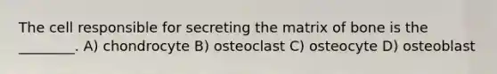 The cell responsible for secreting the matrix of bone is the ________. A) chondrocyte B) osteoclast C) osteocyte D) osteoblast