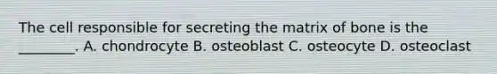 The cell responsible for secreting the matrix of bone is the ________. A. chondrocyte B. osteoblast C. osteocyte D. osteoclast