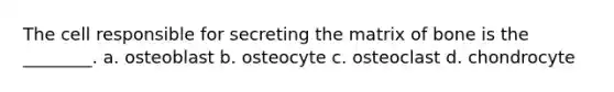 The cell responsible for secreting the matrix of bone is the ________. a. osteoblast b. osteocyte c. osteoclast d. chondrocyte