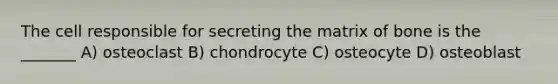 The cell responsible for secreting the matrix of bone is the _______ A) osteoclast B) chondrocyte C) osteocyte D) osteoblast