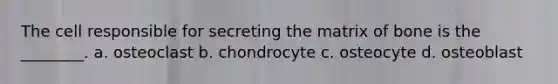 The cell responsible for secreting the matrix of bone is the ________. a. osteoclast b. chondrocyte c. osteocyte d. osteoblast