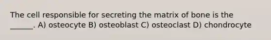 The cell responsible for secreting the matrix of bone is the ______. A) osteocyte B) osteoblast C) osteoclast D) chondrocyte