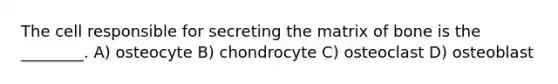 The cell responsible for secreting the matrix of bone is the ________. A) osteocyte B) chondrocyte C) osteoclast D) osteoblast