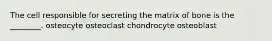 The cell responsible for secreting the matrix of bone is the ________. osteocyte osteoclast chondrocyte osteoblast