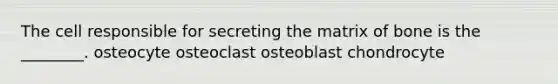 The cell responsible for secreting the matrix of bone is the ________. osteocyte osteoclast osteoblast chondrocyte