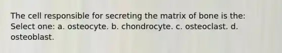 The cell responsible for secreting the matrix of bone is the: Select one: a. osteocyte. b. chondrocyte. c. osteoclast. d. osteoblast.