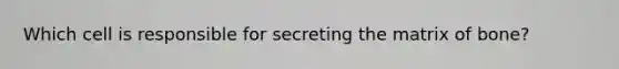 Which cell is responsible for secreting the matrix of bone?