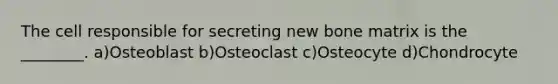 The cell responsible for secreting new bone matrix is the ________. a)Osteoblast b)Osteoclast c)Osteocyte d)Chondrocyte