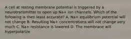 A cell at resting membrane potential is triggered by a neurotransmitter to open up Na+ ion channels. Which of the following is then least accurate? A. Na+ equilibrium potential will not change B. Resulting Na+ concentrations will not change very much C. Na+ resistance is lowered D. The membrane will hyperpolarize