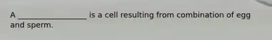 A __________________ is a cell resulting from combination of egg and sperm.