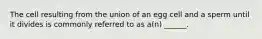 The cell resulting from the union of an egg cell and a sperm until it divides is commonly referred to as a(n) ______.