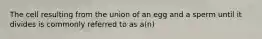 The cell resulting from the union of an egg and a sperm until it divides is commonly referred to as a(n)