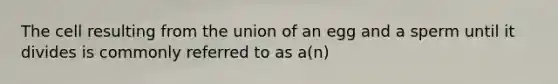 The cell resulting from the union of an egg and a sperm until it divides is commonly referred to as a(n)