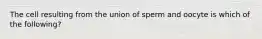 The cell resulting from the union of sperm and oocyte is which of the following?