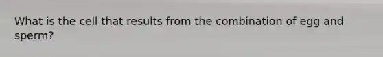 What is the cell that results from the combination of egg and sperm?