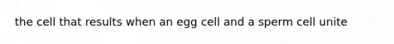 the cell that results when an egg cell and a sperm cell unite