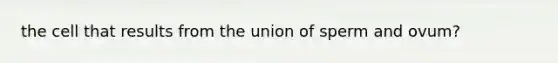 the cell that results from the union of sperm and ovum?