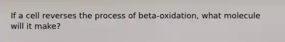 If a cell reverses the process of beta-oxidation, what molecule will it make?