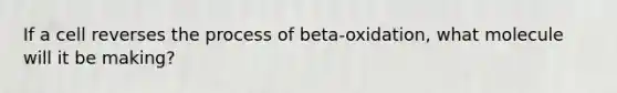 If a cell reverses the process of beta-oxidation, what molecule will it be making?