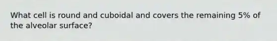 What cell is round and cuboidal and covers the remaining 5% of the alveolar surface?