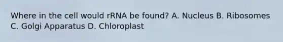 Where in the cell would rRNA be found? A. Nucleus B. Ribosomes C. Golgi Apparatus D. Chloroplast