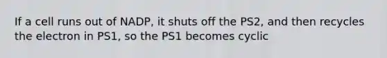 If a cell runs out of NADP, it shuts off the PS2, and then recycles the electron in PS1, so the PS1 becomes cyclic